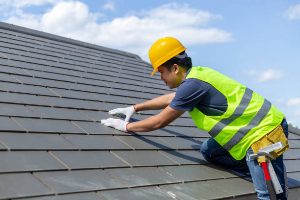 Roof Gutter Cleaning in Summerlin South, NV